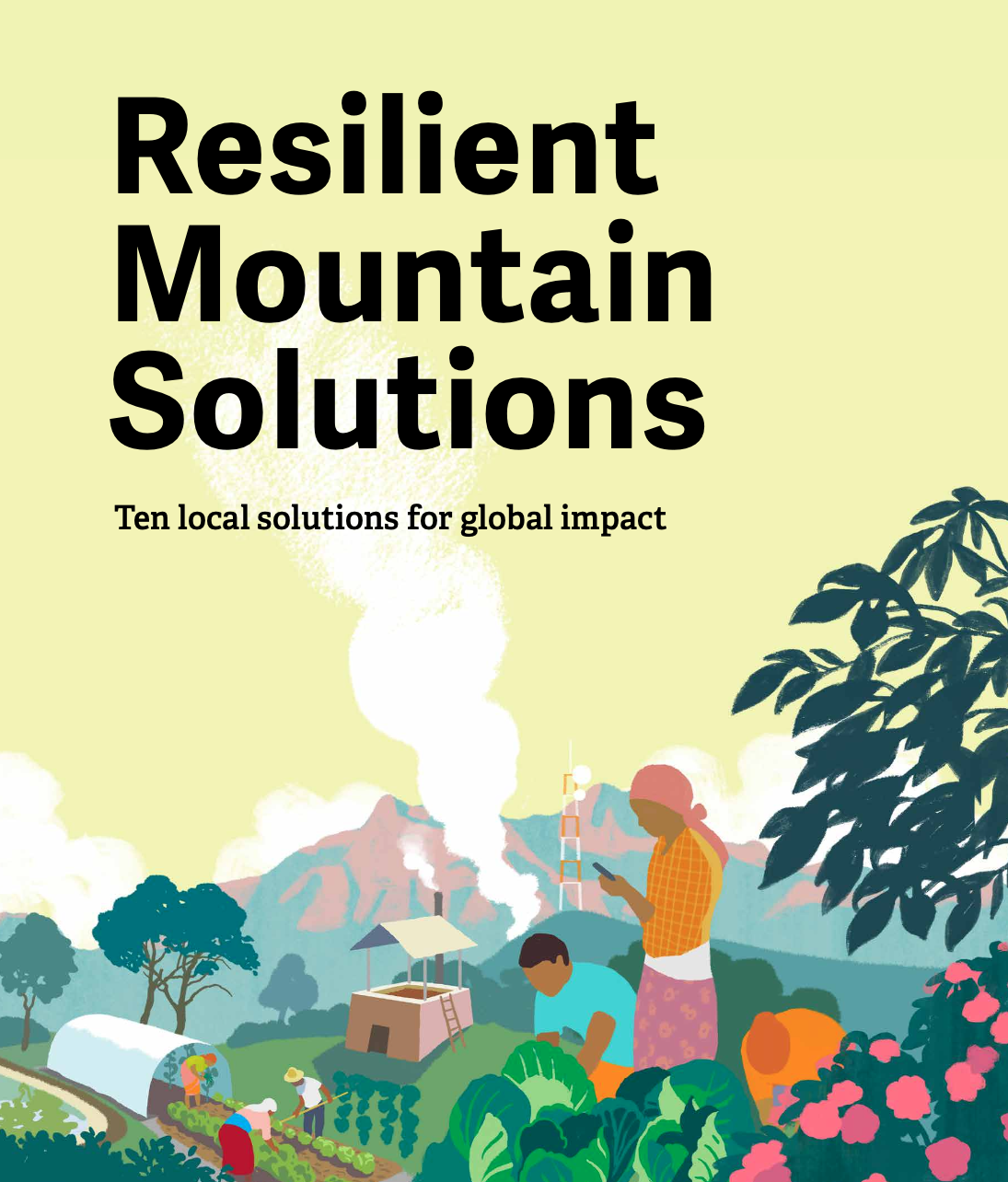 Resilient Mountain Solutions: Ten local solutions for global impact