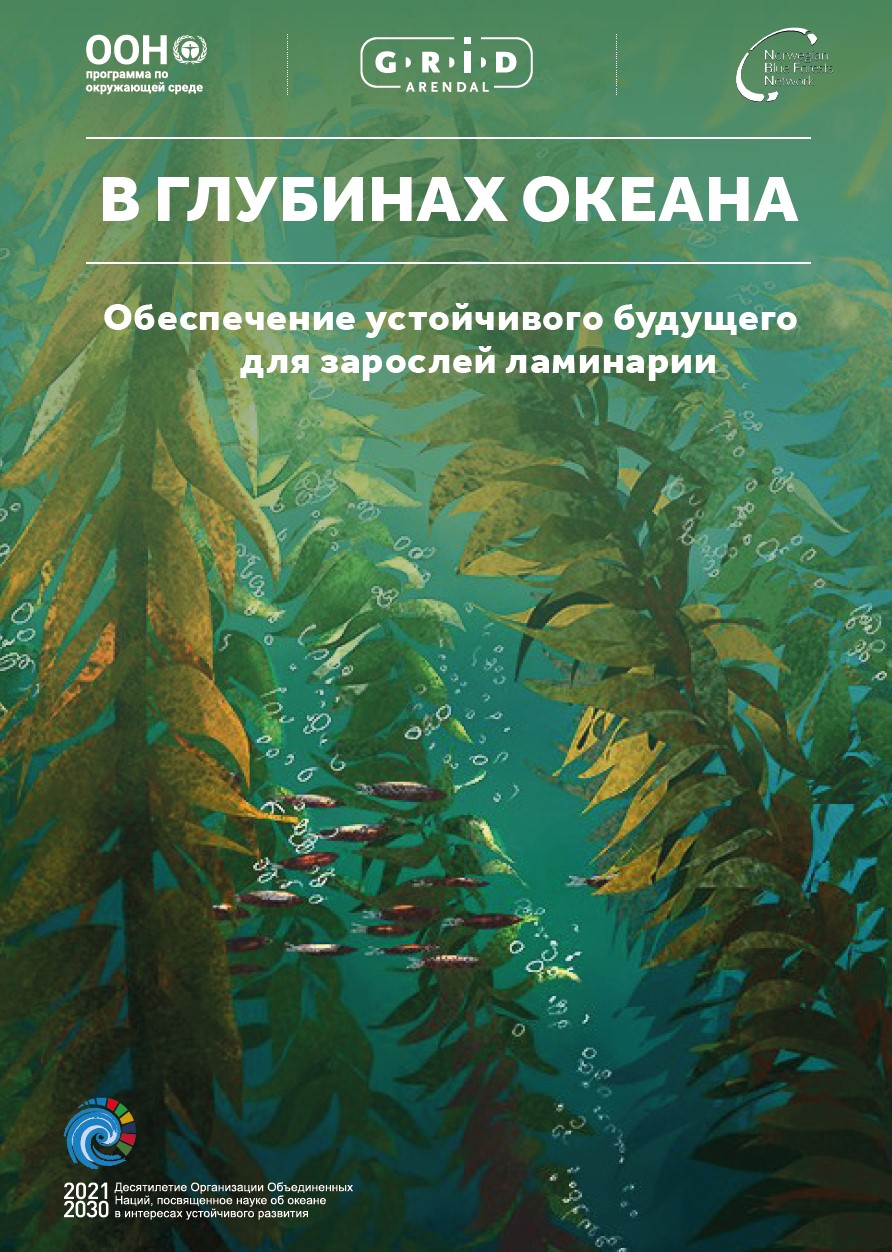 Into the Blue: Securing a Sustainable Future for Kelp Forests. Executive Summary RU