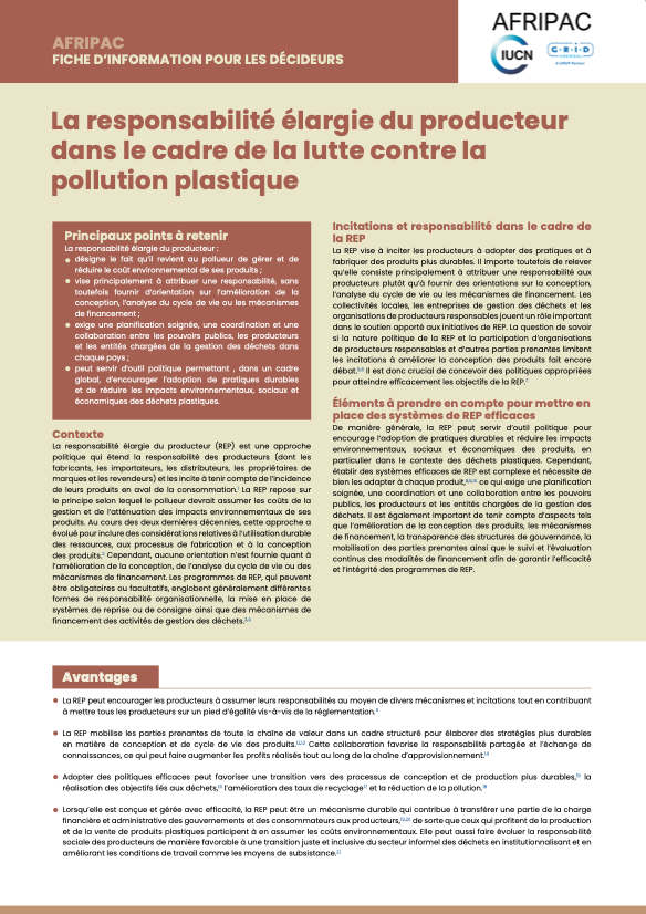 La responsabilité élargie du producteur dans le cadre de la lutte contre la pollution plastique (FR)